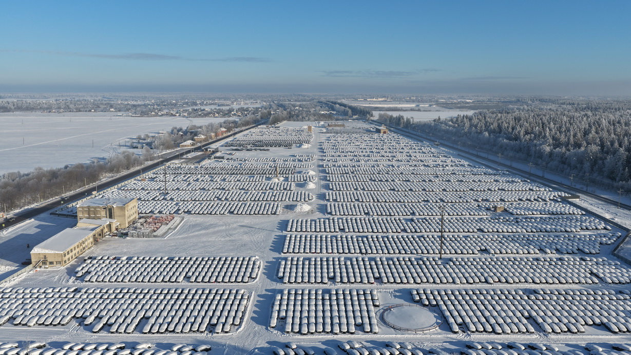 ООО Терминал 81